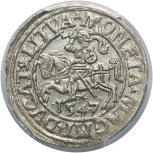 Zygmunt II August, półgrosz 1547, Wilno