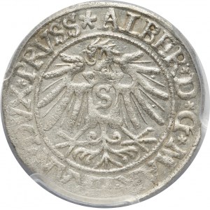 Prusy Książęce, Albert Hohenzollern, grosz 1538, Królewiec