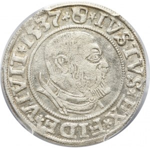 Prusy Książęce, Albert Hohenzollern, grosz 1537, Królewiec