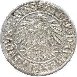 Prusy Książęce, Albert Hohenzollern, grosz 1537, Królewiec