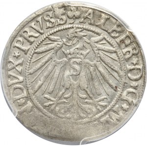Prusy Książęce, Albert Hohenzollern, grosz 1540, Królewiec