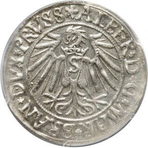 Prusy Książęce, Albert Hohenzollern, grosz 1540, Królewiec