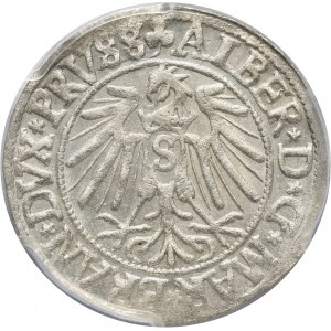 Prusy Książęce, Albert Hohenzollern, grosz 1541, Królewiec