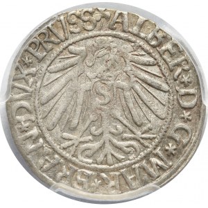 Prusy Książęce, Albert Hohenzollern, grosz 1543, Królewiec