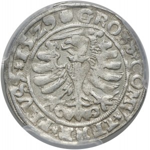 Zygmunt I Stary, grosz 1529, Toruń