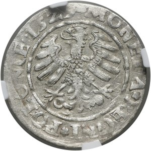 Zygmunt I Stary, grosz 1529, Kraków