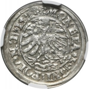 Zygmunt I Stary, grosz 1528, Kraków