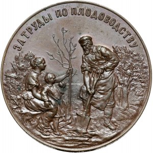 Rosja, medal z 1894 roku, Międzynarodowa Wystawa Ogrodnicza w Petersburgu