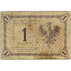 II RP, 1 złoty 28.02.1919, seria 100 D