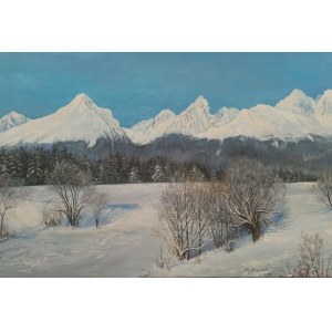 Zenon Moskała, Winter in the mountains