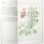 Treben M., HERBS IN WOMEN'S DISEASES [1st ed.] [col. illustrations].