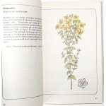 Treben M., KRÄUTER BEI FRAUENKRANKHEITEN [1. Aufl.] [farbige Abbildungen].