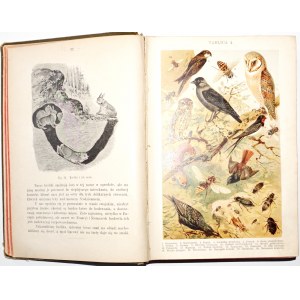 Dyakowski B., Z NASZEJ PRZYRODY obrazy życia zwierząt i roślin krajowych, 1903 [1. vydání].