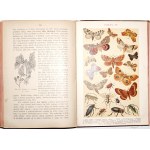 Dyakowski B., Z NASZEJ PRZYRODY obrazy życia zwierząt i roślin krajowych, 1903 [wyd.1]