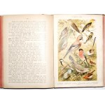 Dyakowski B., Z NASZEJ PRZYRODY obrazy życia zwierząt i roślin krajowych, 1903 [wyd.1]