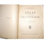Siemiradzki J., ATLAS DO PODRĘCZNIKA PALEONTOLOGJI cz.1 paleozoologja 36 tablic, 1925