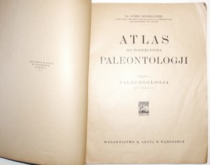 Siemiradzki J., ATLAS do PODRĘCHNIKA PALEONTOLOGJI cz.1 paleozoologja 36 tablic, 1925