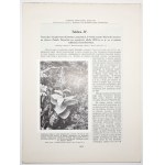 Stecki K., KRAJOBRAZY ROŚLINNE POLSKI roślinność TATR, 1929