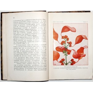 Szafer W., ŻYCIE KWIATÓW, 1927 (Kupferstiche, Farbtafeln)
