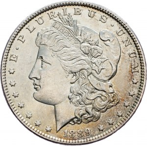 USA, Morgan Dollar 1889, Philadelphia