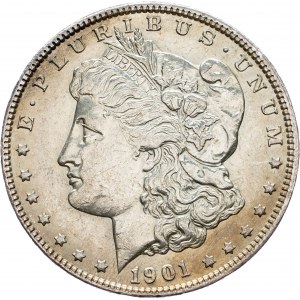 USA, Morgan Dollar 1901, New Orleans