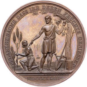 Austria-Hungary, Medal 1823, Heuberger