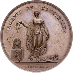 Austria-Hungary, Medal 1837, Theuring