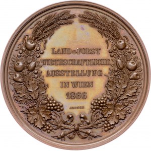 Austria-Hungary, Medal 1866, Jauner