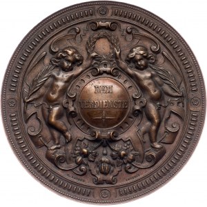 Austria-Hungary, Medal 1880, Jauner