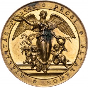 Austria-Hungary, Medal 1888