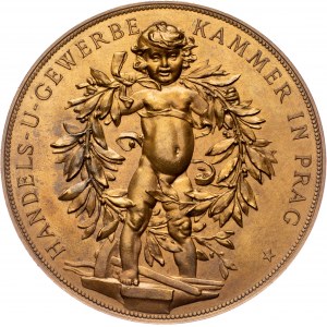 Austria-Hungary, Medal 1891, J. Tautenhayn/J.Myslbek