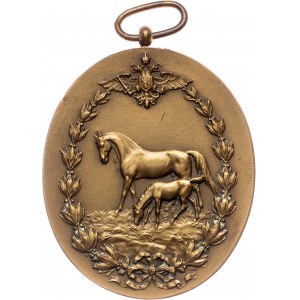 Austria-Hungary, Medal, Jauner