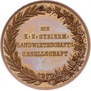 Austria-Hungary, Medal