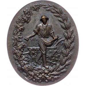 Austria-Hungary, Medal ND, Jauner