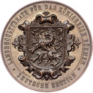 Austria-Hungary, Medal, Braun