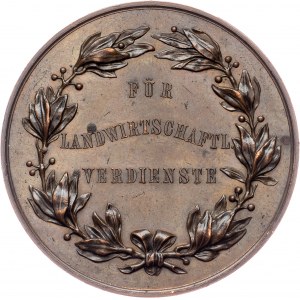 Austria-Hungary, Medal, Braun