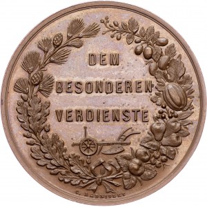 Austria-Hungary, Medal, Radnitzky