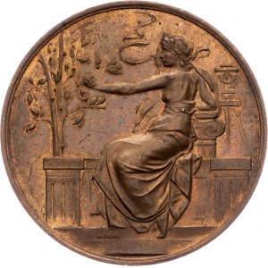Czechoslovakia, Medal 1898, Wurzel