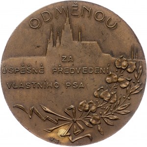 Czechoslovakia, Medal 1924, V.S./Pichl