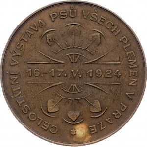 Czechoslovakia, Medal 1924, V.S./Pichl