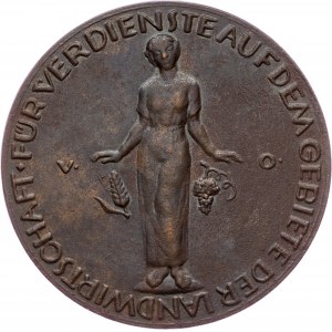 Czechoslovakia, Medal 1933, Viktor Oppenheimer;