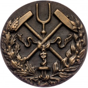 Czechoslovakia, Medal 1970