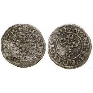 Polska, szeląg, 1530, Gdańsk