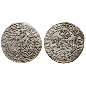 Polska, półgrosz litewski, 1547, Wilno