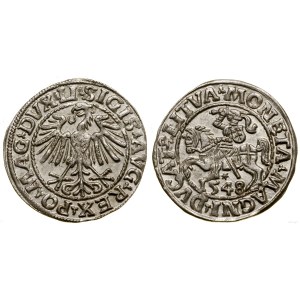 Polen, litauischer Halbpfennig, 1548, Vilnius