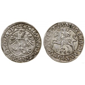 Polen, litauischer Halbpfennig, 1564, Vilnius