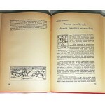 WIELICZKA- SZKICE I FRAGMENTY Z POWSTANIA WIELKOPOLSKIEGO 1918/19 wyd.1933