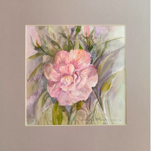 Barbara Młynik-Szilke, Rose cinesi.
