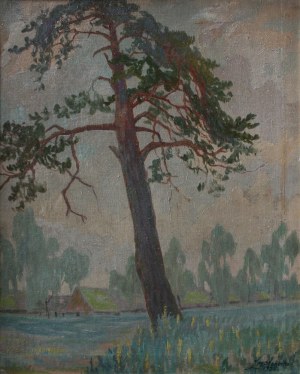 Marian Franciszek Słonecki, Pejzaż z samotną sosną