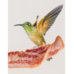 Monika Malewska, Hummingbirds and Bacon, 2019